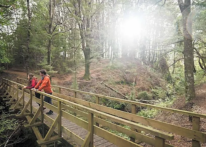 Fiordland National Park Lodge