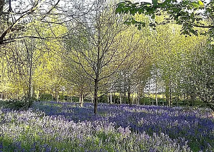 Hollicarrs - Long Lane Lodge