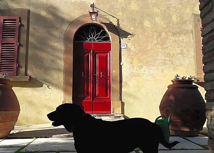 A Path Of Relaxation And History Between Vineyards And Olive Trees