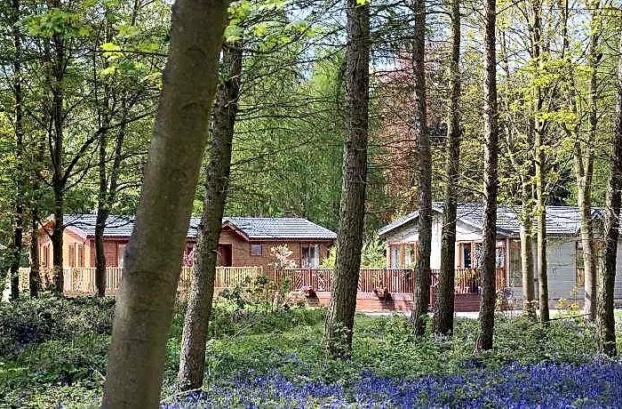 Hollicarrs - Pinewood Lodge