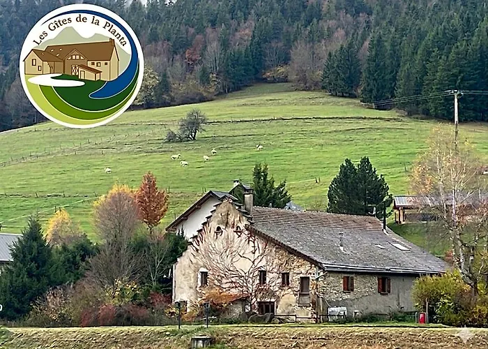 Gites De La Planta