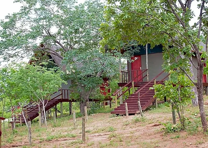 Lion Roars Lodge