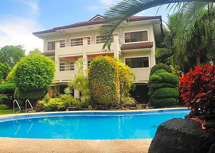 Alona Golden Palm
