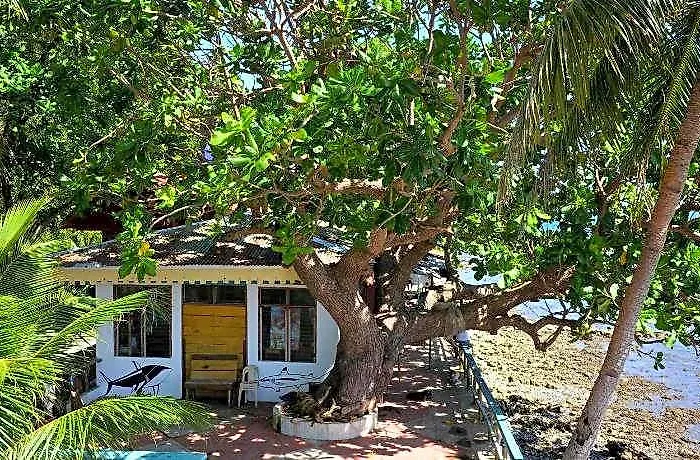 Paseo Del Mar Dive Resort