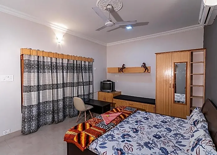 Lazy Mojo Inn