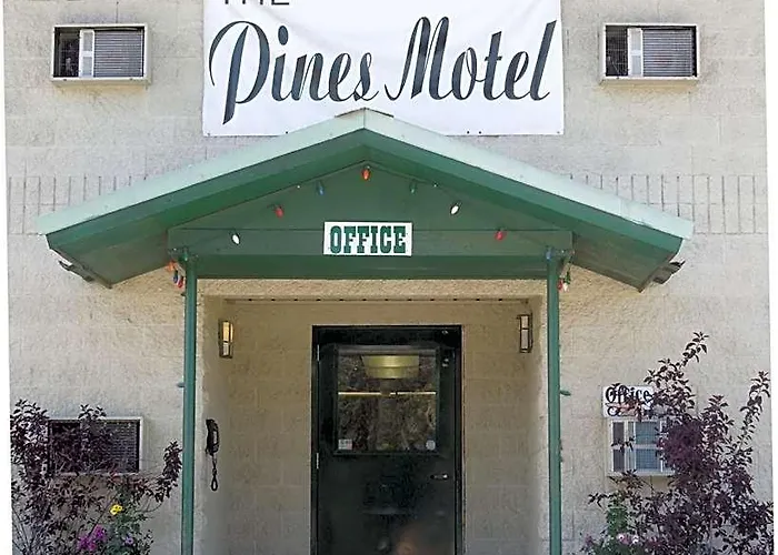 The Pines Motel