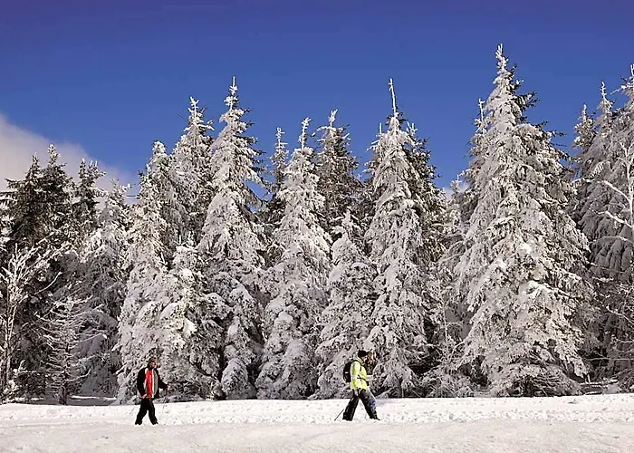 Nature Titisee - Easy.Life.Hotel.