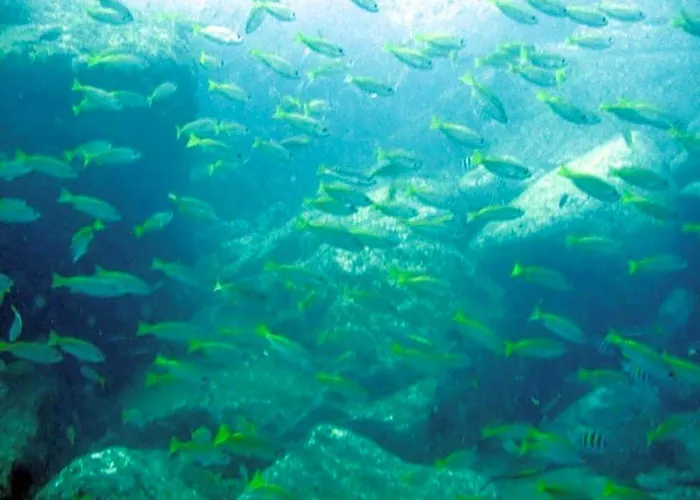 Deep Sea Resort