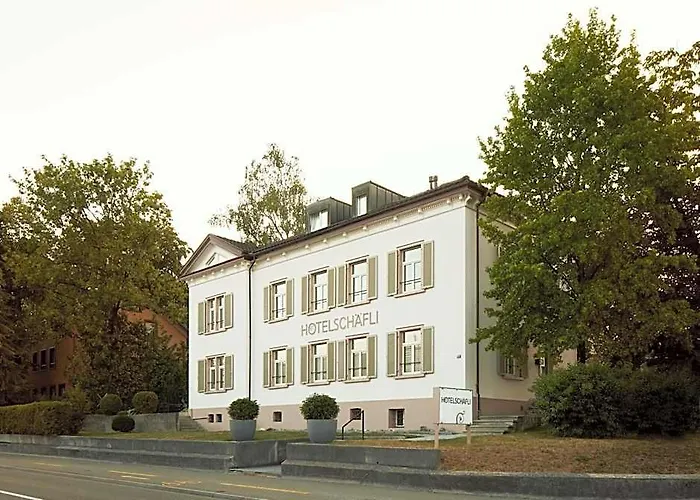 Hotel Schaefli
