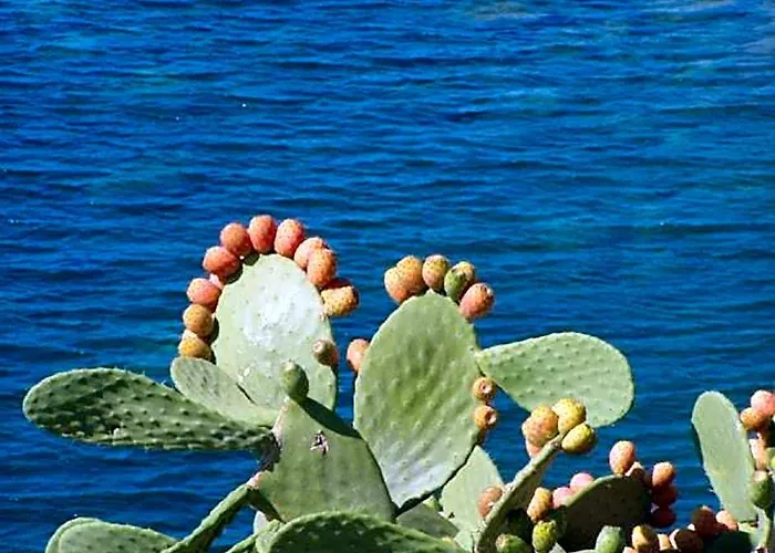 Pfa Hotel Ginevra - Isola D'Elba