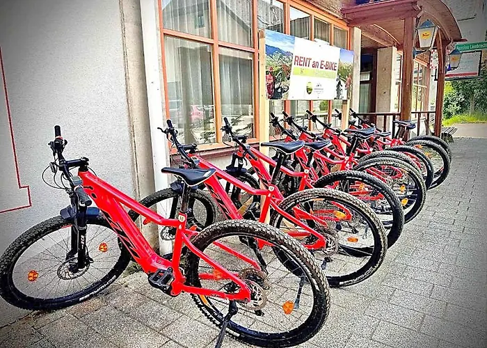 Hotel Ledererwirt