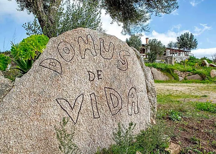 Domus De Vida