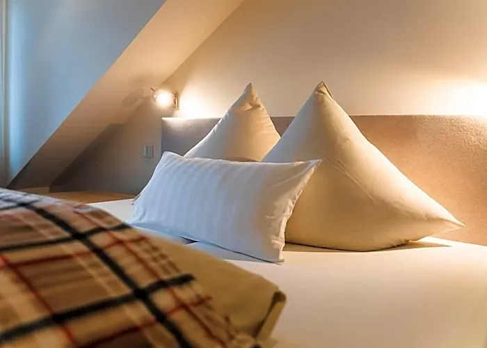 Hotel Villa Will