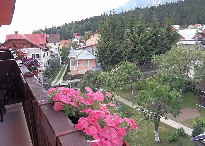 Iri Busteni Hotel