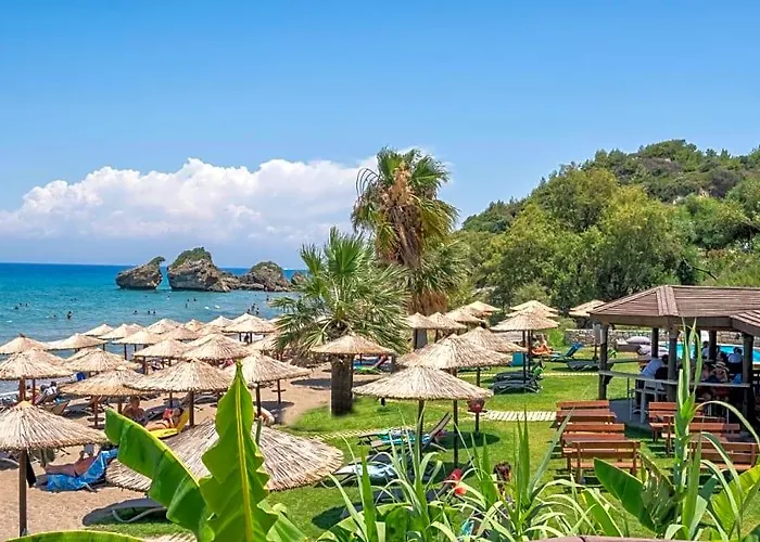 Porto Zorro