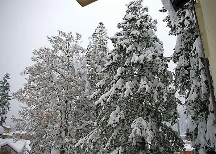 Hotel Dal Bon