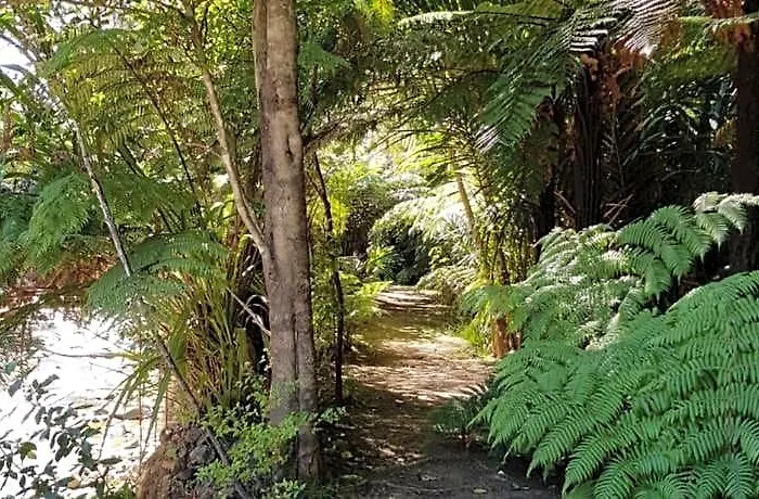 Tangiaro Kiwi Retreat