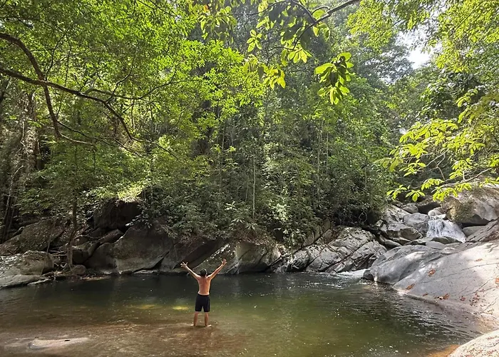 Sierra Jungla