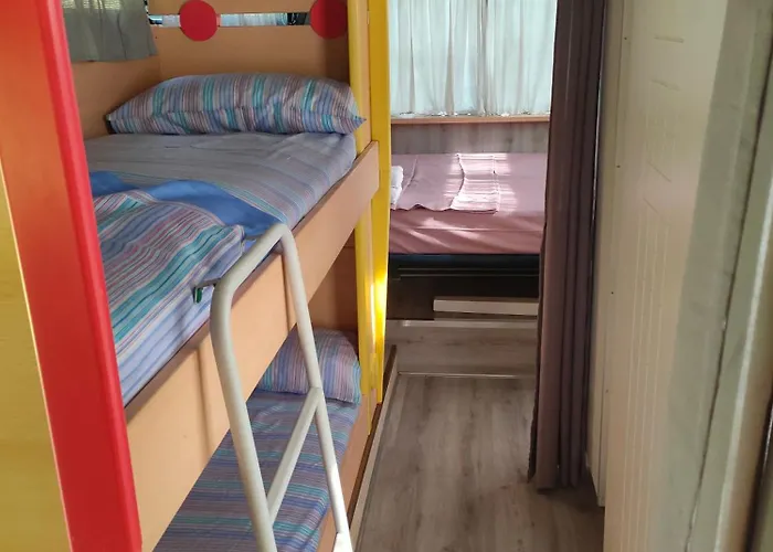 Terrebiobus