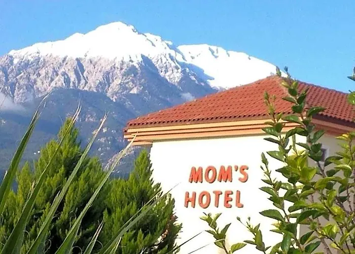 Mg Moms Hotel