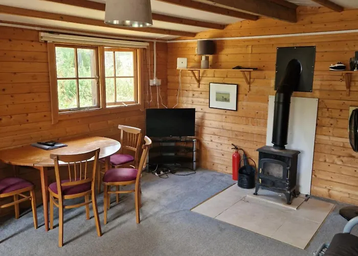 The Cabin - This Is Not The Ritz But It Is Better Than Camping I Have Whippets And Greyhounds