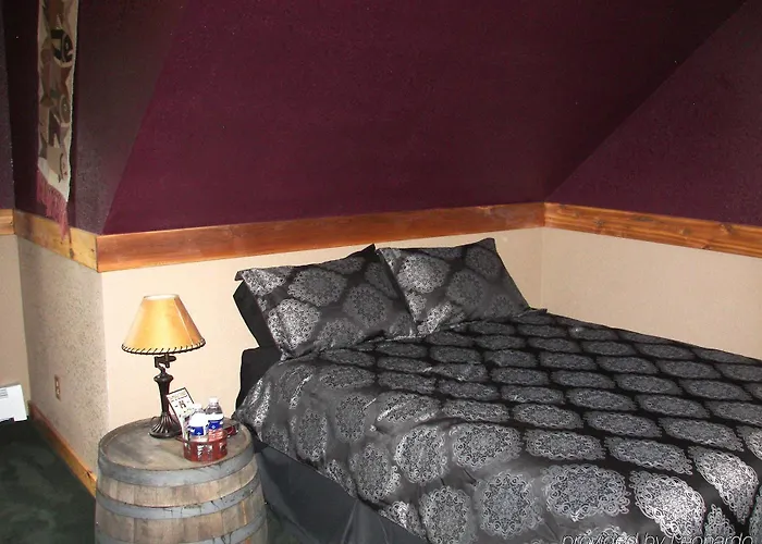 Blonde Bear Bed And Breakfast