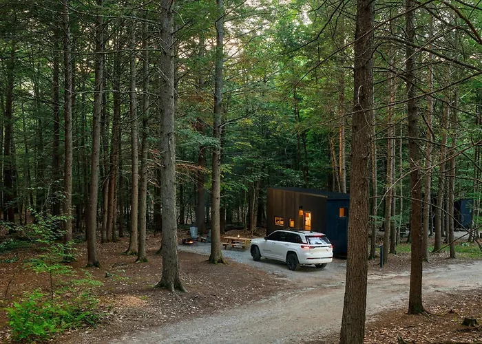 Postcard Cabins Big Bear, Outdoor Collection By Marriott Bonvoy