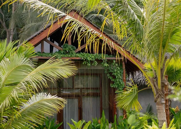 The Salty Jungle