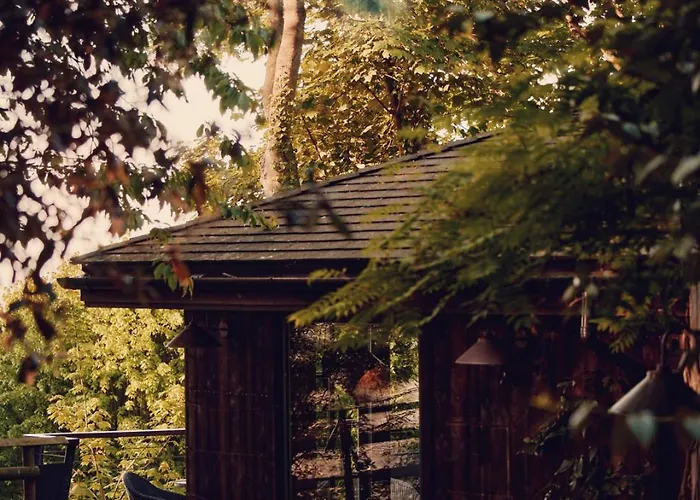 Tiger Lodge - At Port Lympne Hotel & Reserve