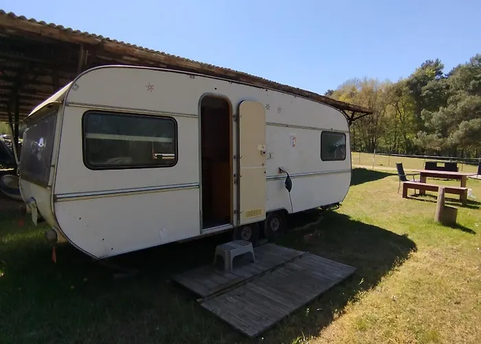 Retro Caravan Auf Tierschutzhof Am Wald