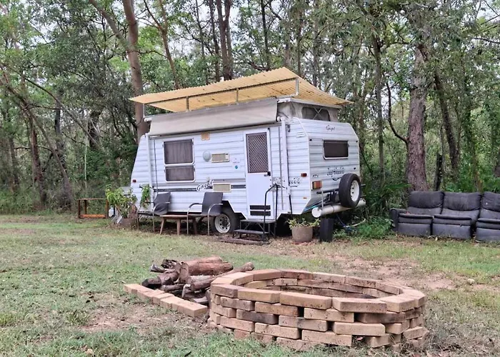 Caravan Rustic Sunflower