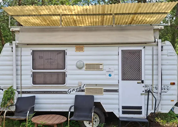 Caravan Rustic Sunflower