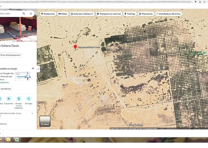 Campement Sahara Oasis Douz