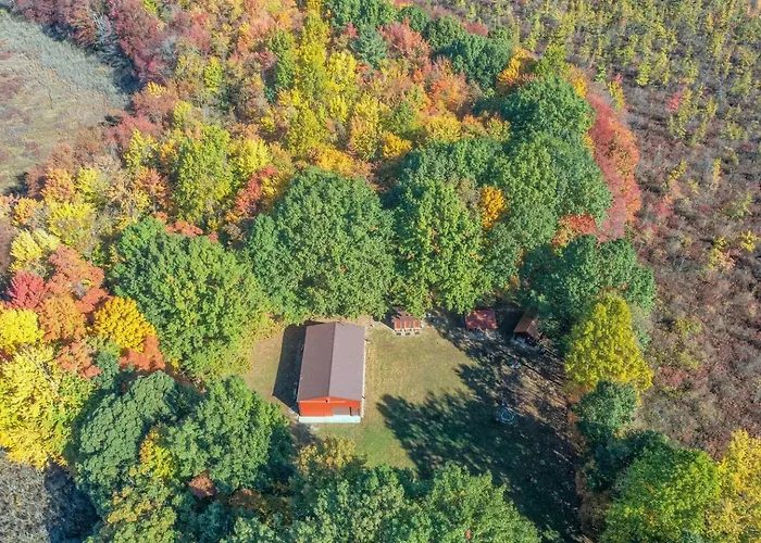 New! Wooded Acres Resort - Cute & Fun!