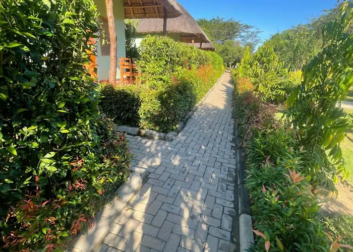Chui Safari Camp