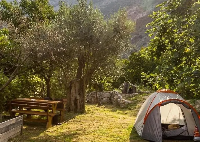My Olive Garden Camp