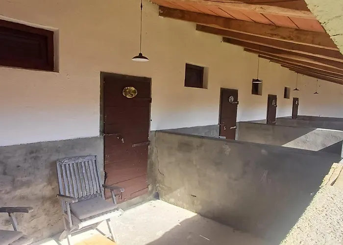 Back To Nature Basic Camping Hut Casa Biron