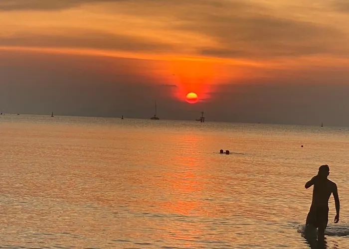 Arunta Samui