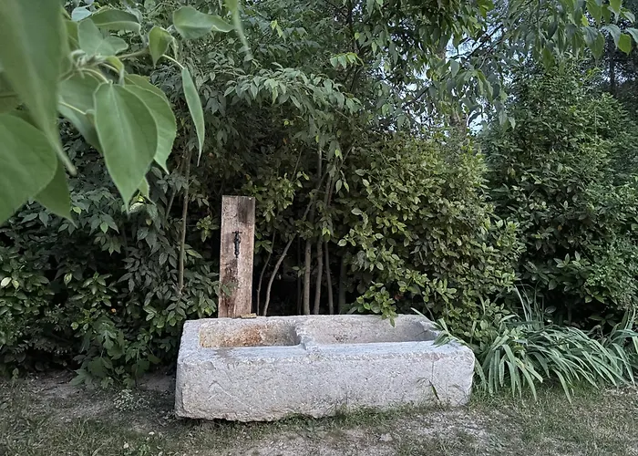 Chalet Sous Les Pins