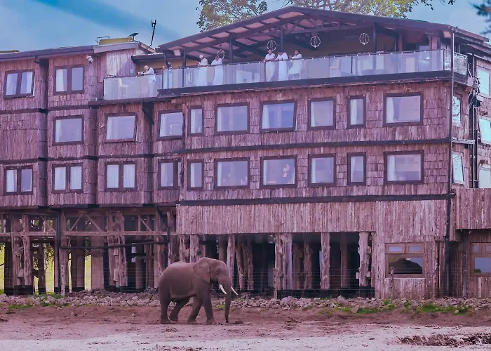 The Treetops Lodge