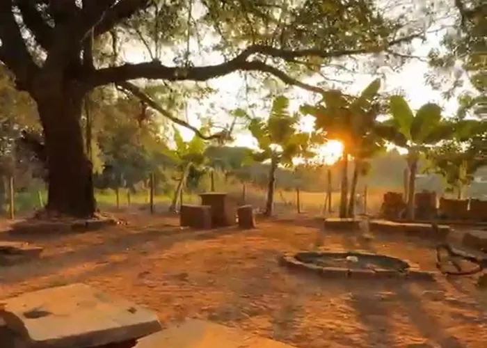 Raízes da montanha