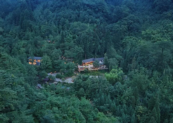Dujiangyan Lucky Wild Mountain Forest Luxury Homestay