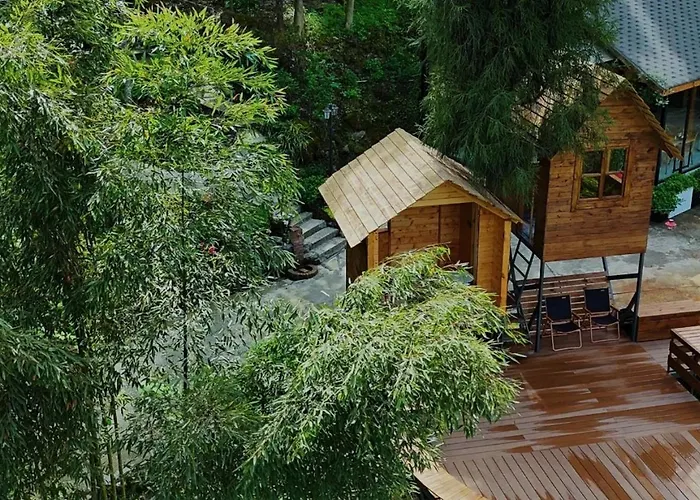 Dujiangyan Lucky Wild Mountain Forest Luxury Homestay