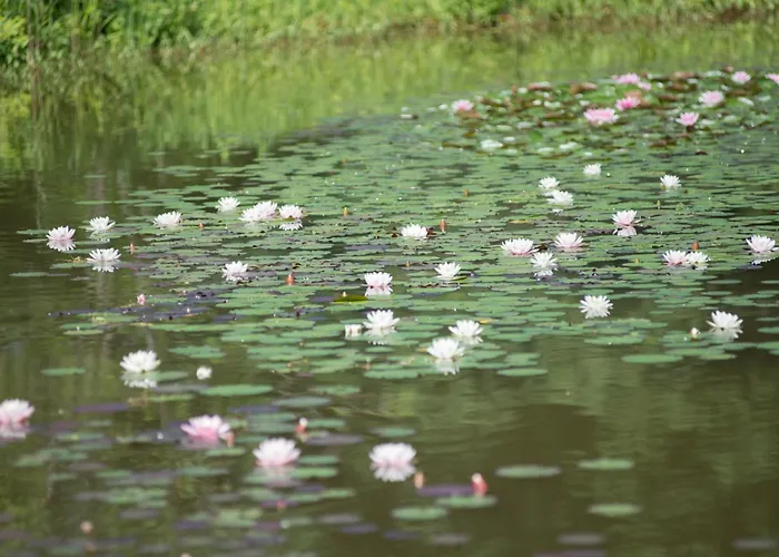 Parkwohnstift Bad Kissingen