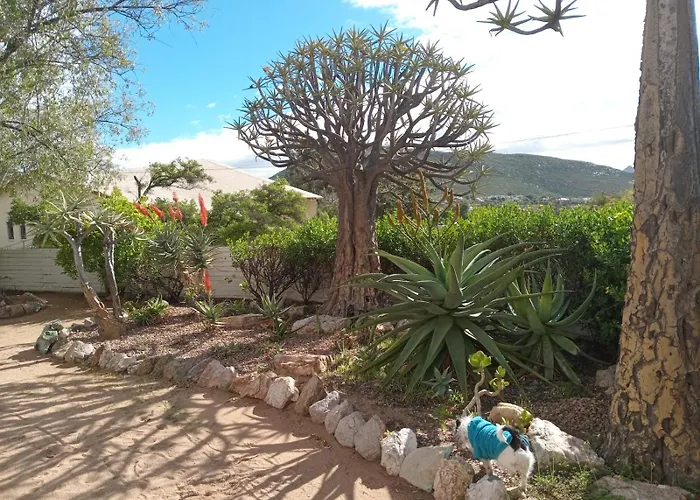 Springbok Lodge & Restaurant