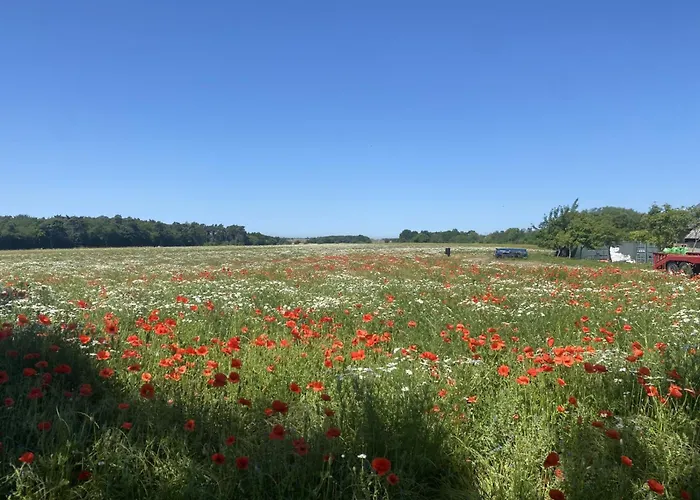 Glamping Lille Strandbygard
