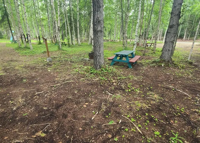 Houston Grass Station Campsite #40