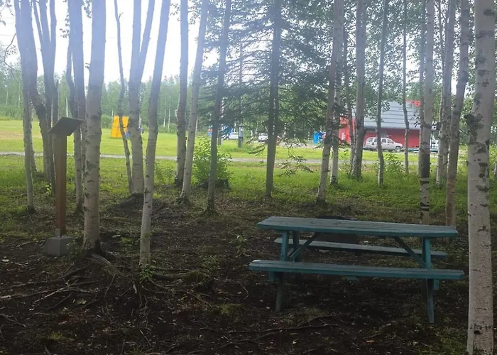 Houston Grass Station Campsite #44