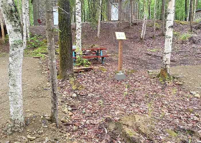 Houston Grass Station Campsite #16