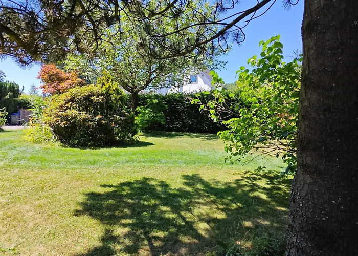 Büchelblick Camping
